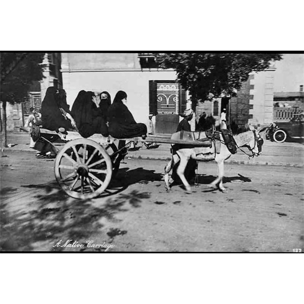 BW Art Native Carriage