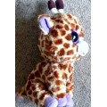 Baby Giraffe