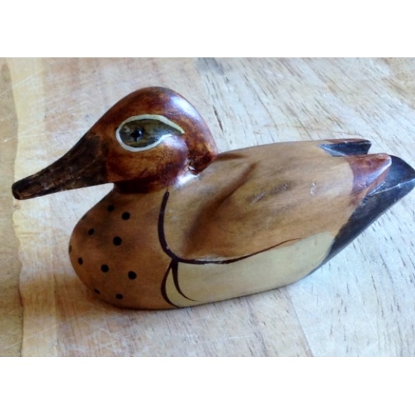 Canard Bois
