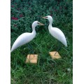 Charles Smith Egrets Wood Carving