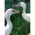 Charles Smith Egrets Wood Carving