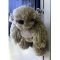 Babette Teddy