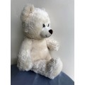 Bub Teddy
