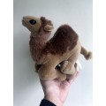 Camel Sahara