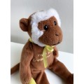 Capuchin Monkey