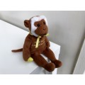 Capuchin Monkey