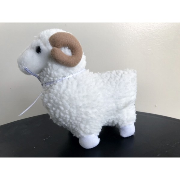 Jumbuck
