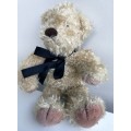 Nanu Teddy