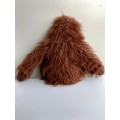 Orangutan