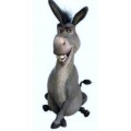 Shrek and Donkey