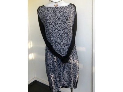 F13 Sussan Leopard