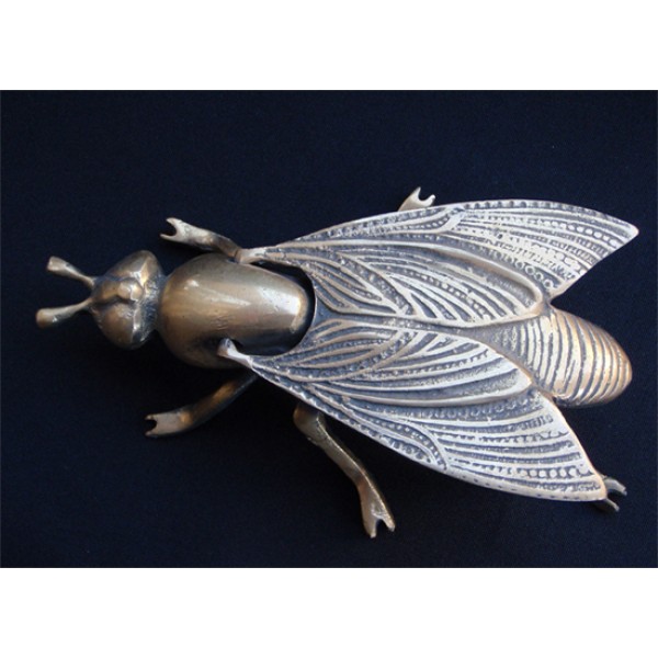 Brass The Fly