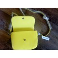 B1 Canary Yellow and Pink Bags