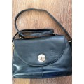 B1 Fiorelli V and Bonus Bag