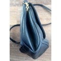 B1 Fiorelli V and Bonus Bag