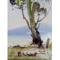 M. SCHMIDT Oil Painting - Gum Trees
