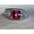 Silver Ring - Fenêtres