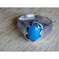 Silver Ring - Voiles