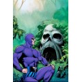 Phantom Skull Egyptian Organic T-Shirt