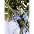 Bohemia Crystal Vase
