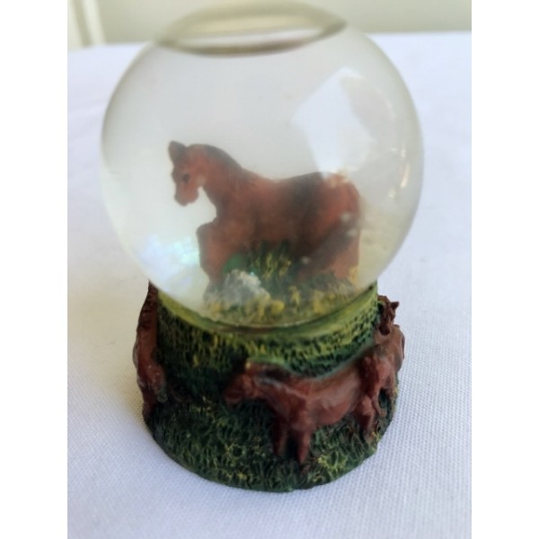 Champion Horse