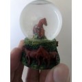 Champion Horse