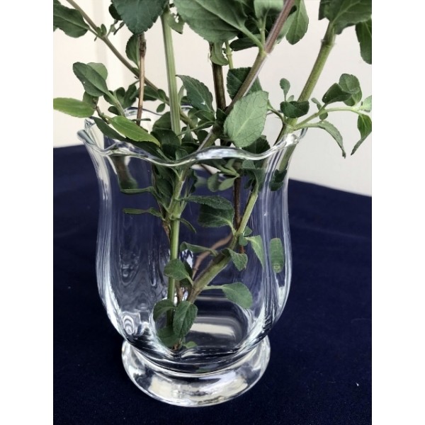 Crystal Crown Vase