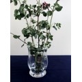 Crystal Crown Vase