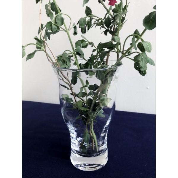 Crystal Elegance Vase