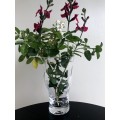 Crystal Elegance Vase