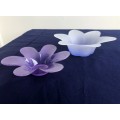 Floral Frosted Glass