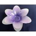 Floral Frosted Glass